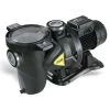 DAB Euroswim 100 M Zwembadpomp 16m3